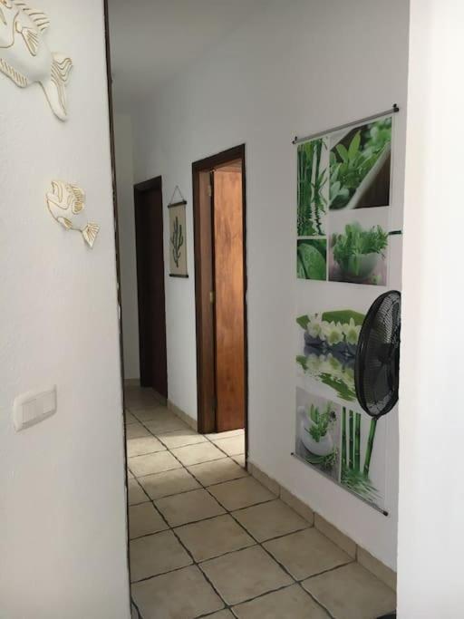 Apartamento Playero Privado Wifi- Morrojable モロ・デル・ハブレ エクステリア 写真